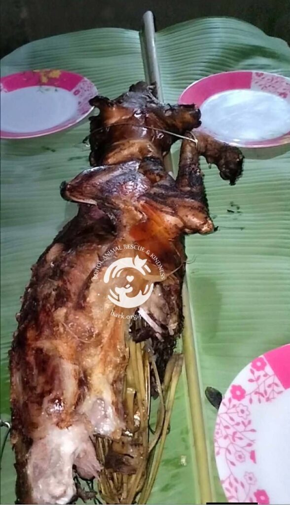 Animal Welfare Group