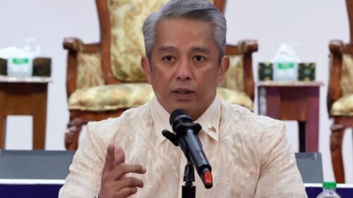 jonvic remulla