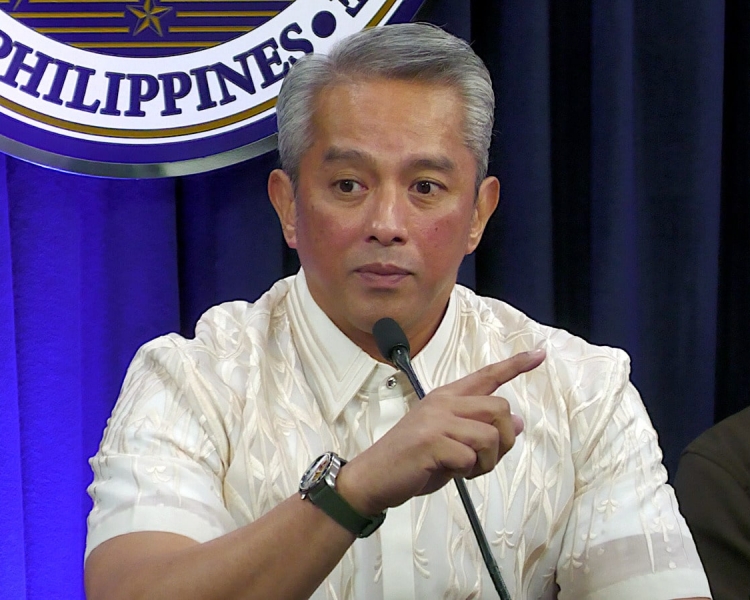 jonvic remulla