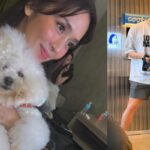 kathryn bernardo dog mark alcala