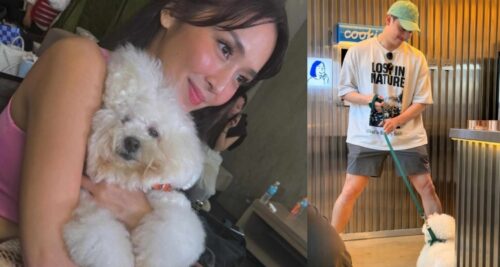 kathryn bernardo dog mark alcala