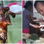 Animal Welfare Group