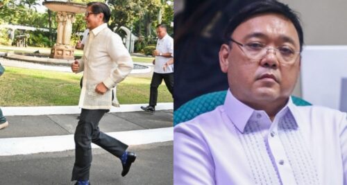 pbbm harry roque