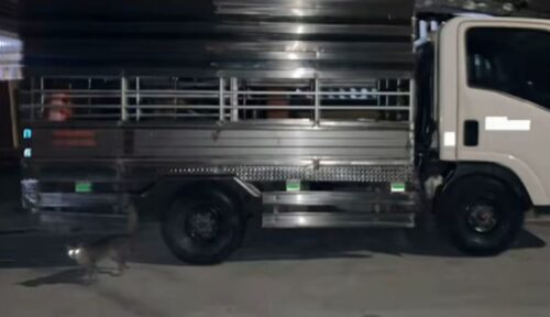 Parked Truck