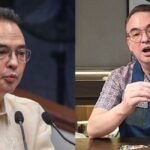 Alan Peter Cayetano 1