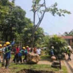 DENR planting Narra tree 2