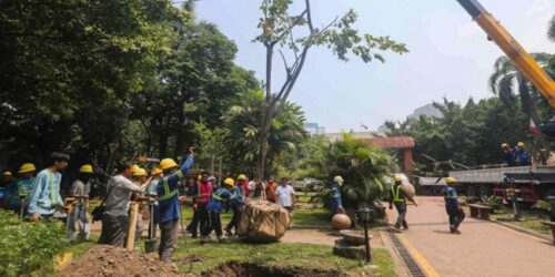 DENR planting Narra tree 2