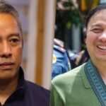 Jonvic Remulla, Zaldy Co