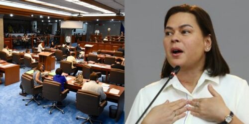 Sara Duterte, Senate