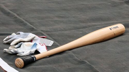 Baseball Bat
