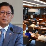 bongbong marcos senate