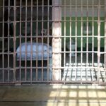 Inmate