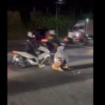 Rider
