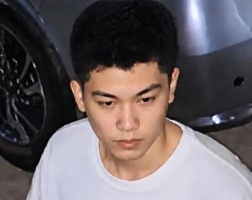 Handsome Burglary