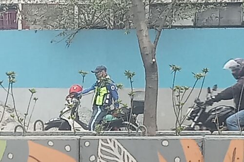 Netizen