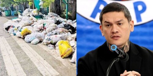 Baste Duterte, DENR