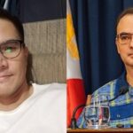 Boom Labrusca, Alan Peter Cayetano