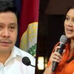 Camille Villar, Jinggoy Estrada