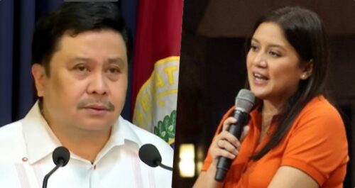 Camille Villar, Jinggoy Estrada