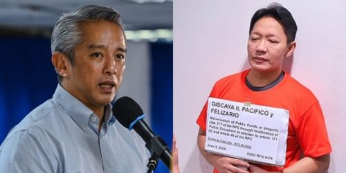 Curlee Discaya, Jonvic Remulla