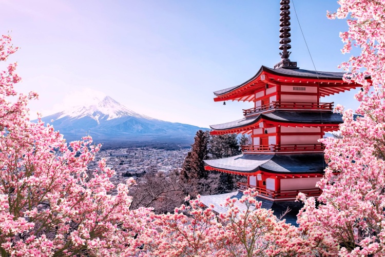 Japan Tourist Visa requirements
