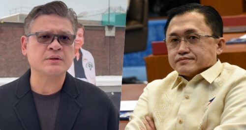 Paolo Duterte, Bong Go