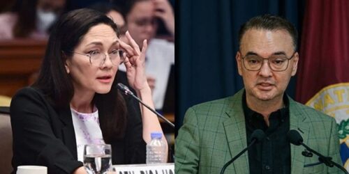 Risa Hontiveros, Alan Peter Cayetano