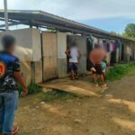 Temporary Shelter