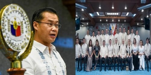 Win Gatchalian, Senate