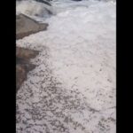 Chemical Dumping