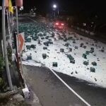 Delivery Truck Accident
