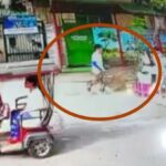 Cellphone Thief