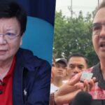 Alan Peter Cayetano, Rodante Marcoleta