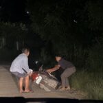 Motorcycle Theft