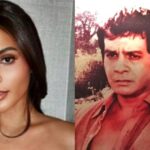 lovi poe fpj