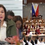 Sarah Duterte, Senate hearing