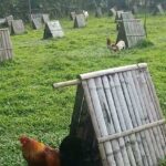 Farm Owner
