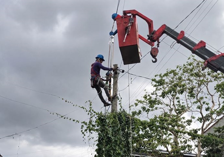 Lineman