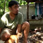 Rescued Pet Cat