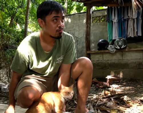 Rescued Pet Cat