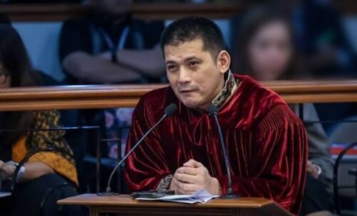 robin padilla