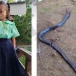 5-Year-Old Girl