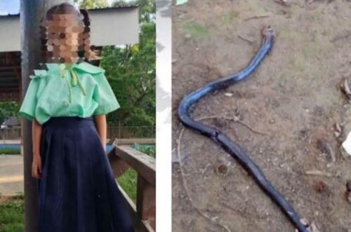 5-Year-Old Girl