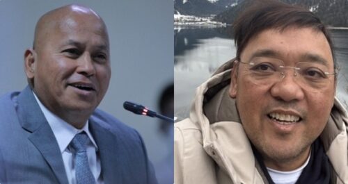 Bato dela Rosa, Harry Roque'