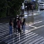 LTO Employee
