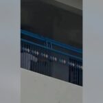 ateneo de zamboanga shooting incident