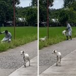 Baby Goats