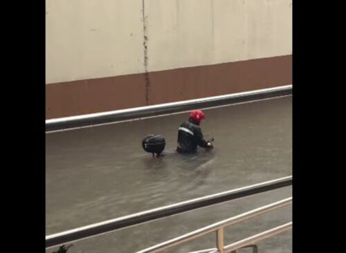 Rider