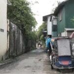 Pregnant Stray Dog
