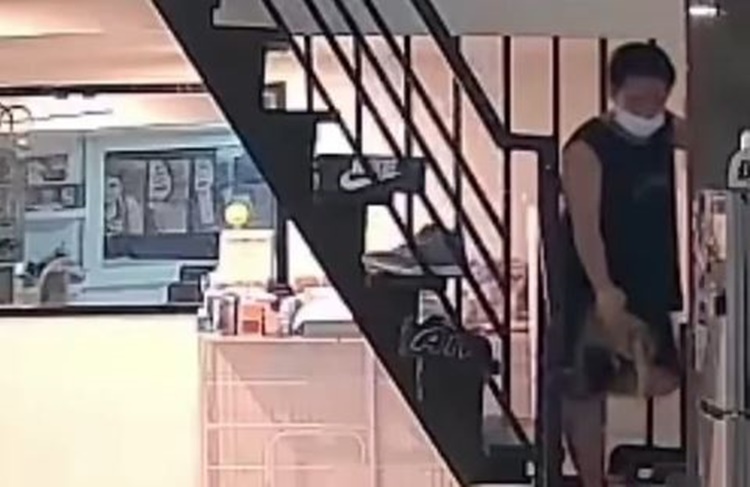 Thief